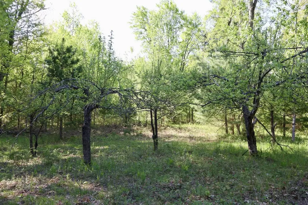 11547 E 1 Mile Road Ellsworth Township MI 49655