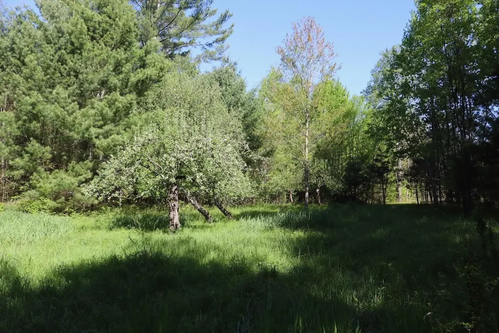 11547 E 1 Mile Road Ellsworth Township MI 49655