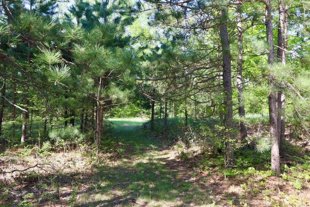 11547 E 1 Mile Road Ellsworth Township MI 49655