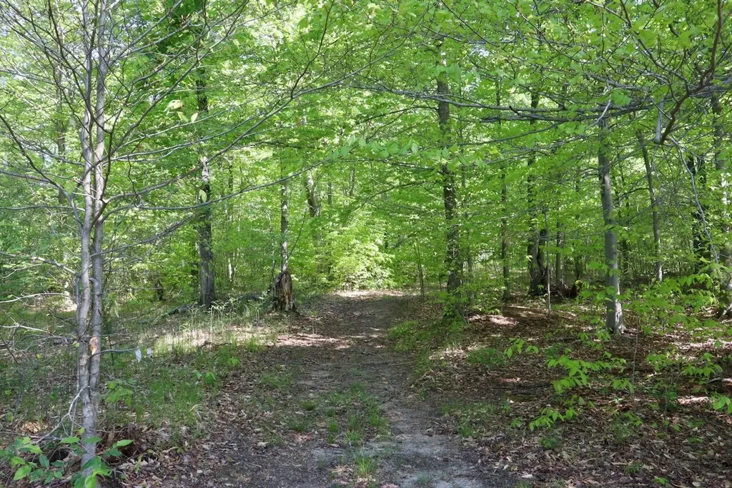 11547 E 1 Mile Road Ellsworth Township MI 49655