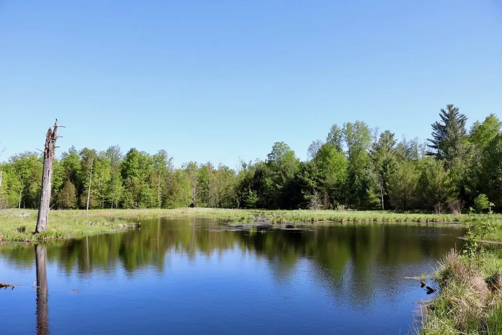 11547 E 1 Mile Road Ellsworth Township MI 49655