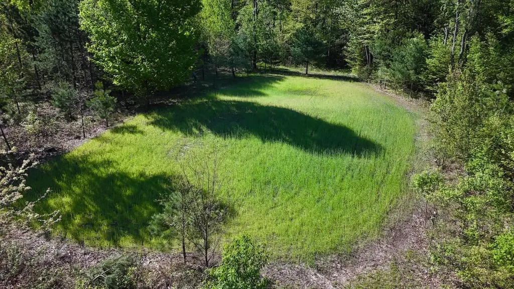 11547 E 1 Mile Road Ellsworth Township MI 49655