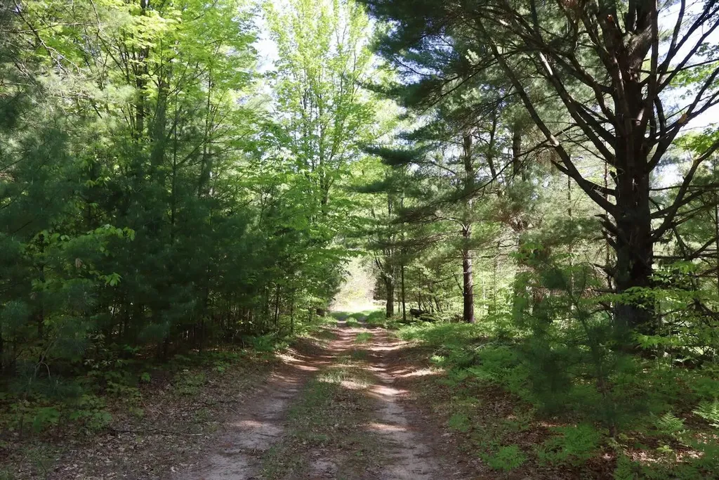 11547 E 1 Mile Road Ellsworth Township MI 49655