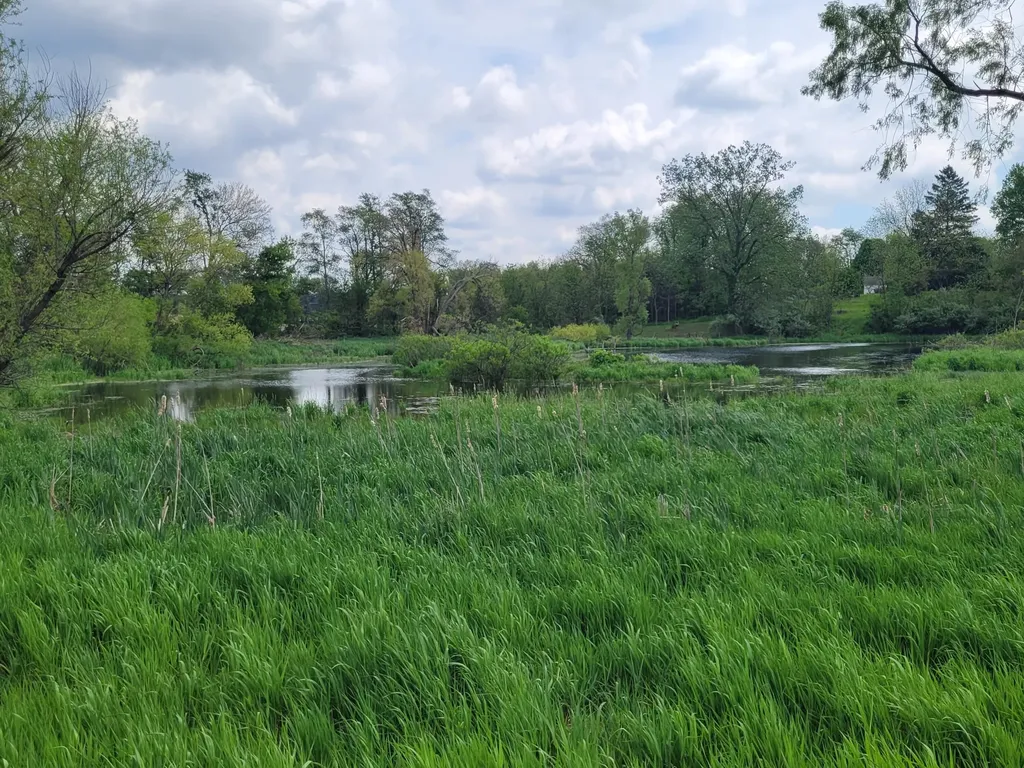 9007 Lake Road Berrien Township MI 49102