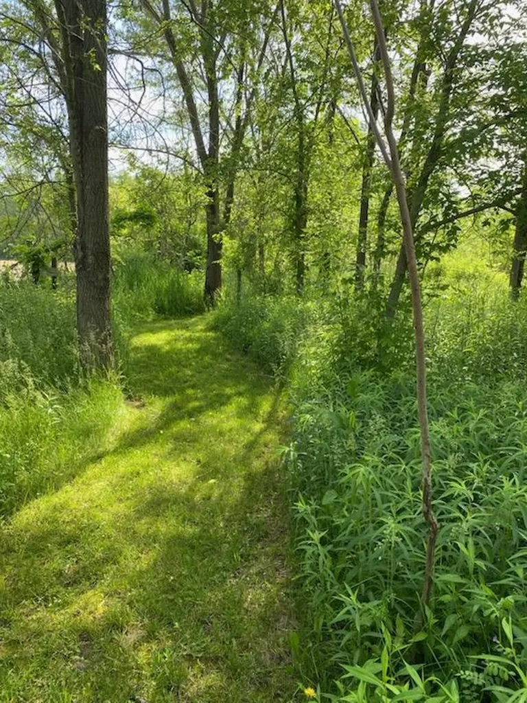9007 Lake Road Berrien Township MI 49102
