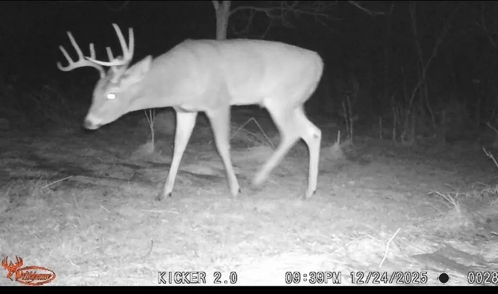 9007 Lake Road Berrien Township MI 49102