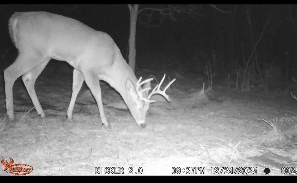 9007 Lake Road Berrien Township MI 49102