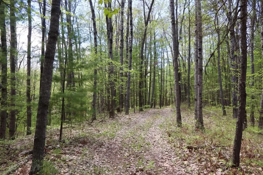 5826 S Morrison Road Mills Township MI 48610