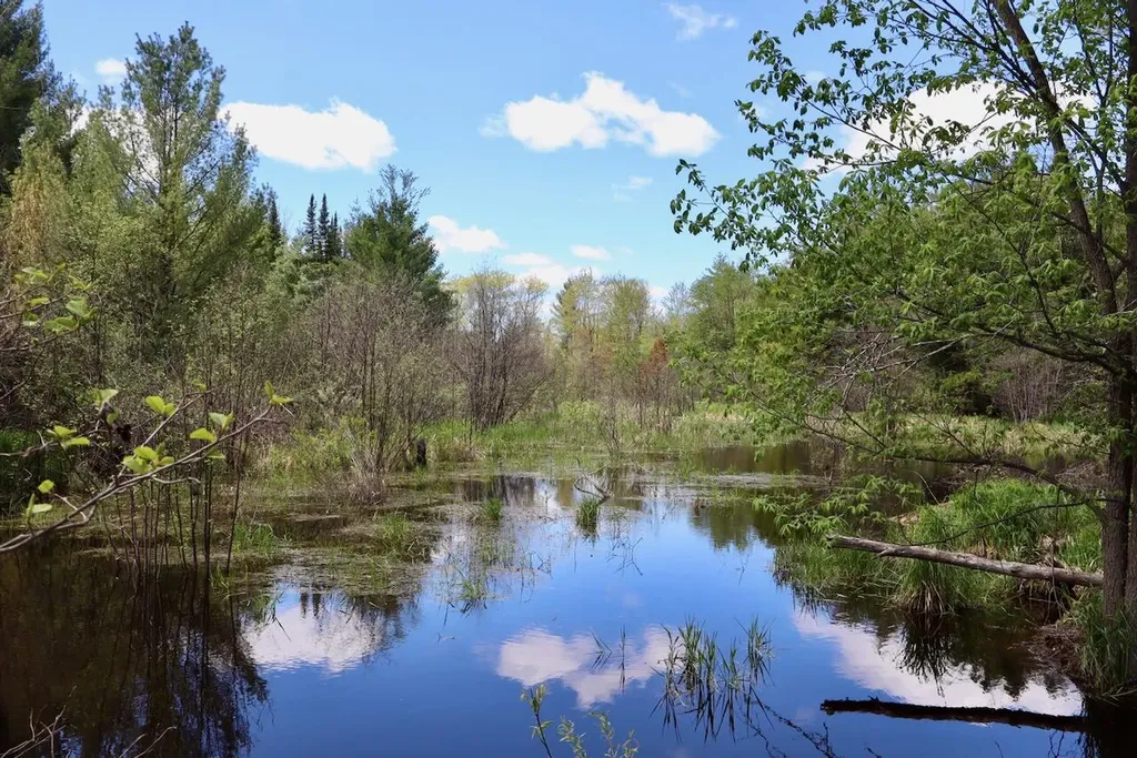5826 S Morrison Road Mills Township MI 48610