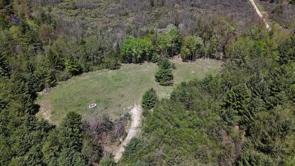 5826 S Morrison Road Mills Township MI 48610