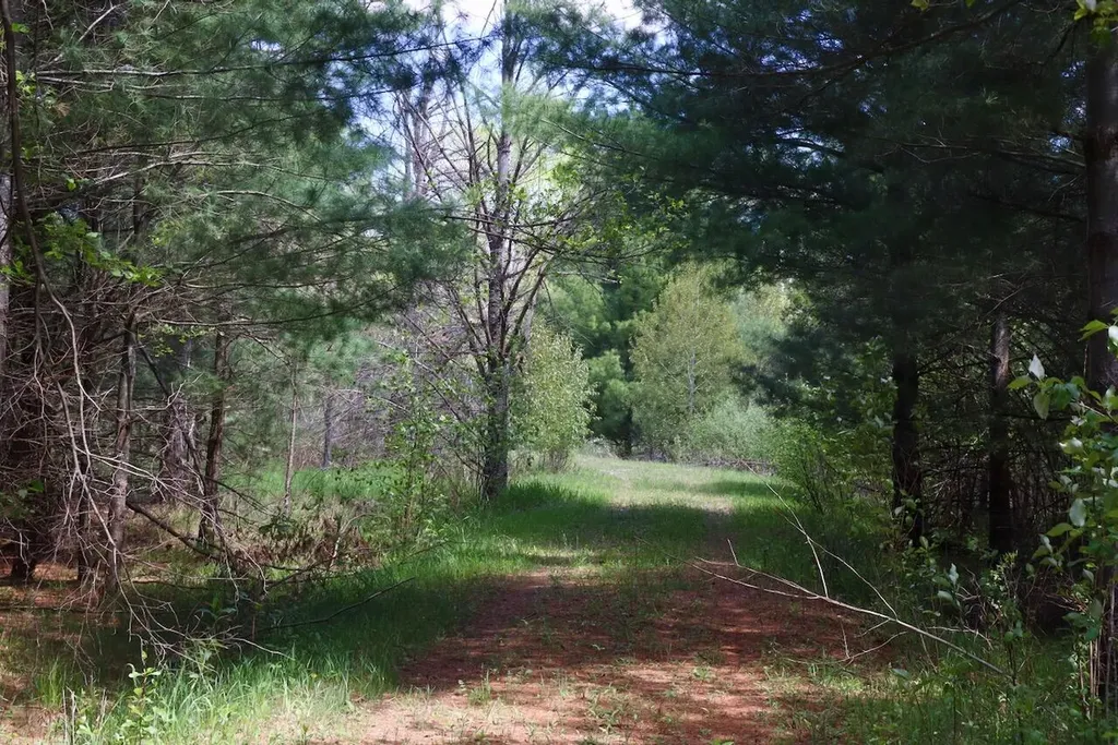 5826 S Morrison Road Mills Township MI 48610