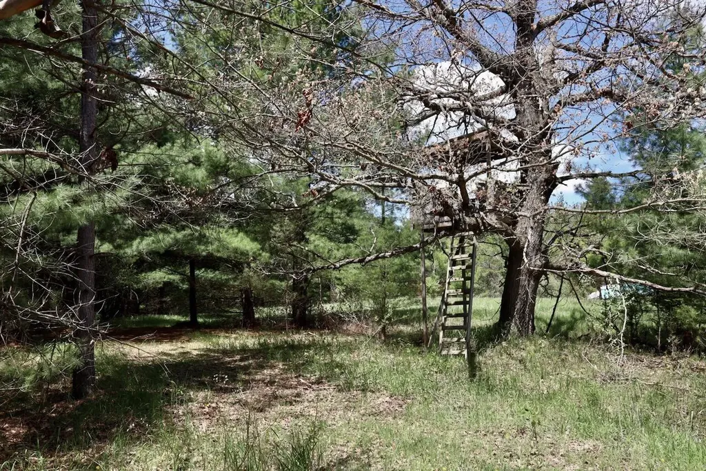 5826 S Morrison Road Mills Township MI 48610