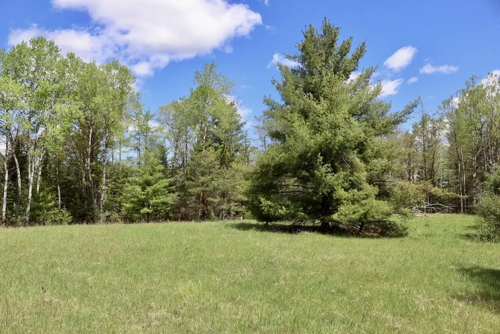 5826 S Morrison Road Mills Township MI 48610