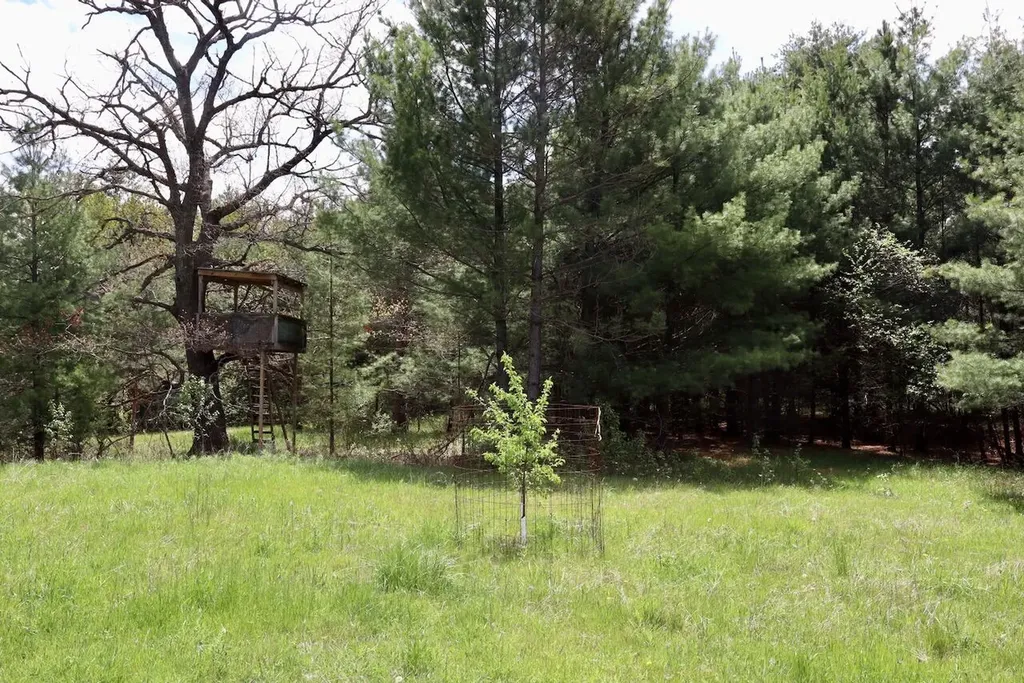 5826 S Morrison Road Mills Township MI 48610