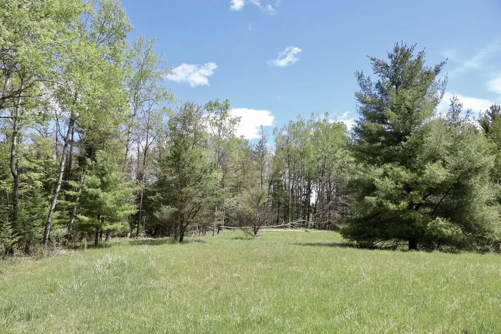 5826 S Morrison Road Mills Township MI 48610