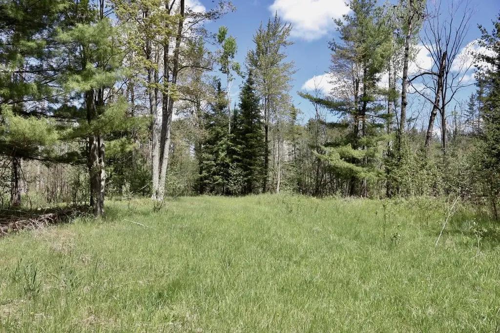 5826 S Morrison Road Mills Township MI 48610