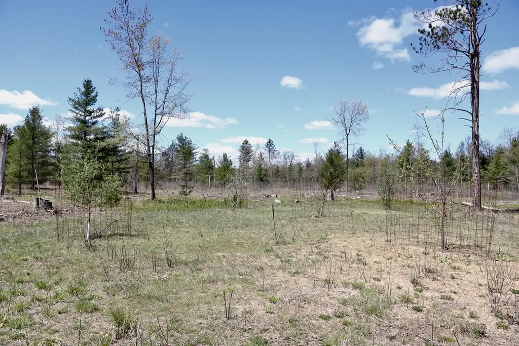5826 S Morrison Road Mills Township MI 48610