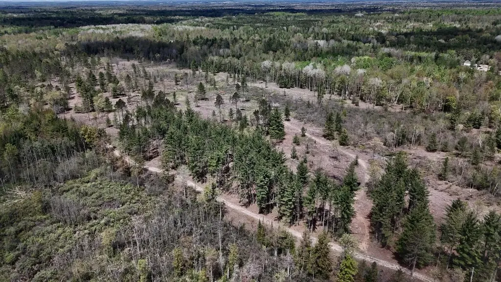 5826 S Morrison Road Mills Township MI 48610
