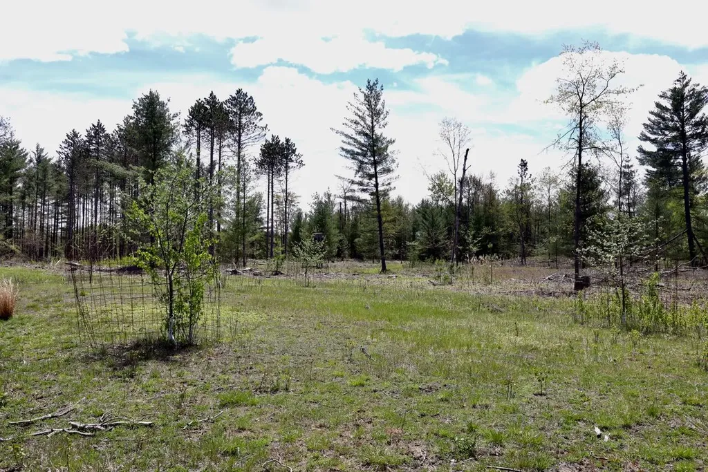 5826 S Morrison Road Mills Township MI 48610