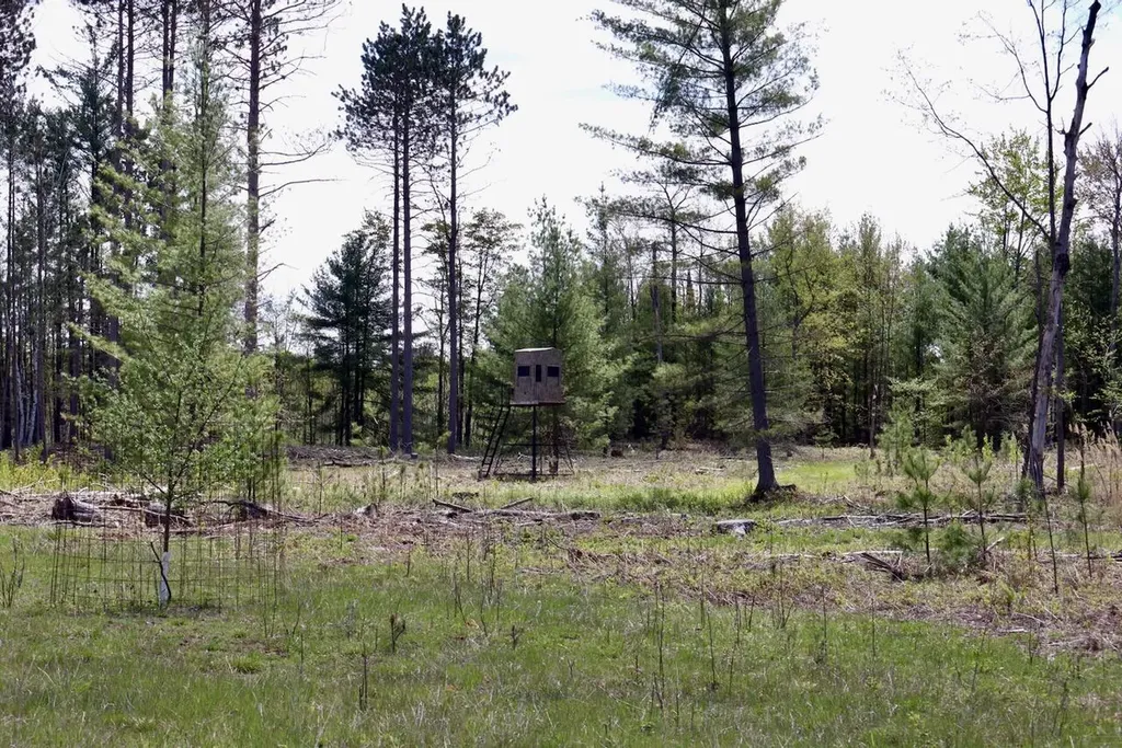 5826 S Morrison Road Mills Township MI 48610