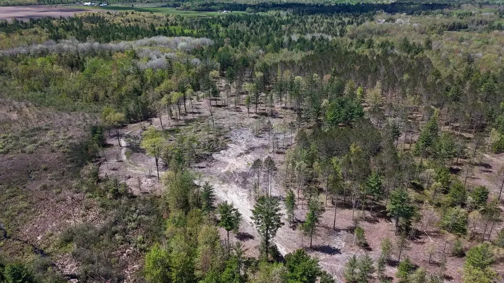 5826 S Morrison Road Mills Township MI 48610
