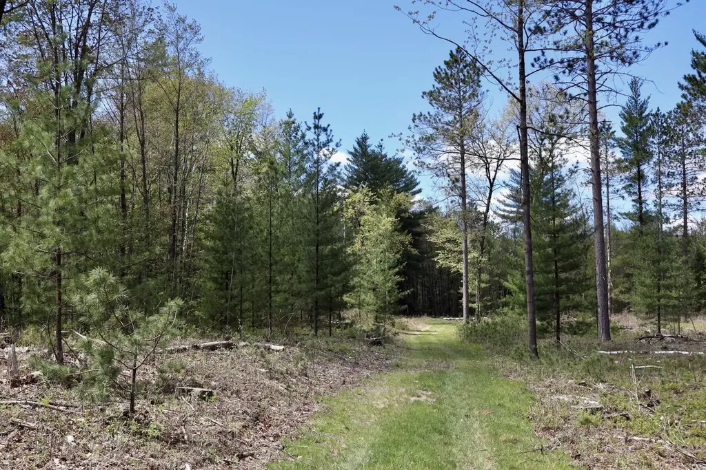 5826 S Morrison Road Mills Township MI 48610