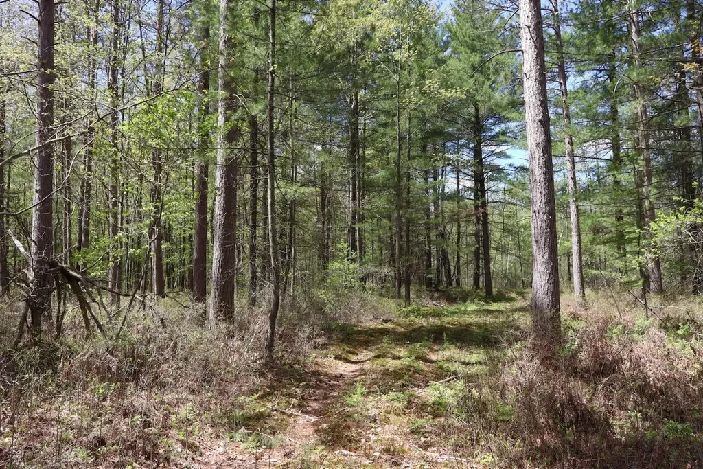 5826 S Morrison Road Mills Township MI 48610
