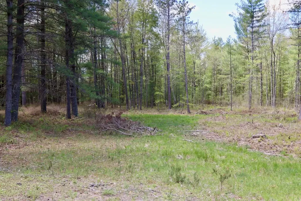 5826 S Morrison Road Mills Township MI 48610