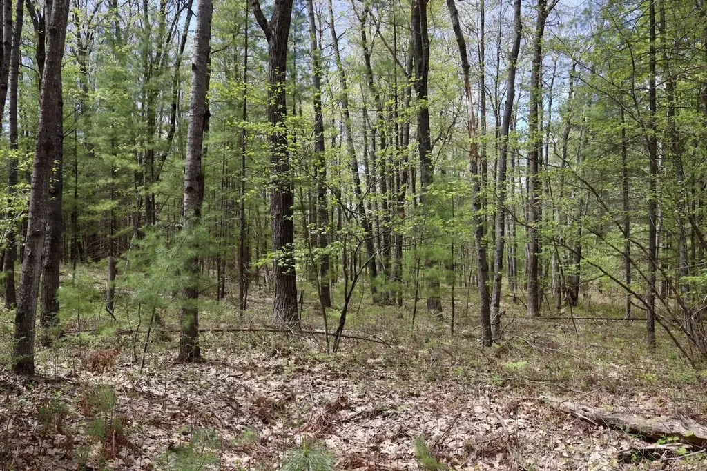 5826 S Morrison Road Mills Township MI 48610