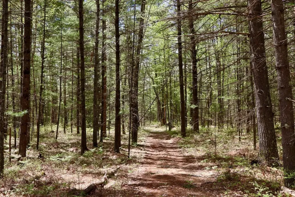 5826 S Morrison Road Mills Township MI 48610
