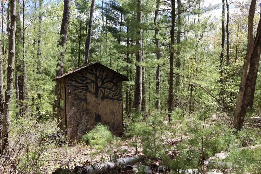 5826 S Morrison Road Mills Township MI 48610