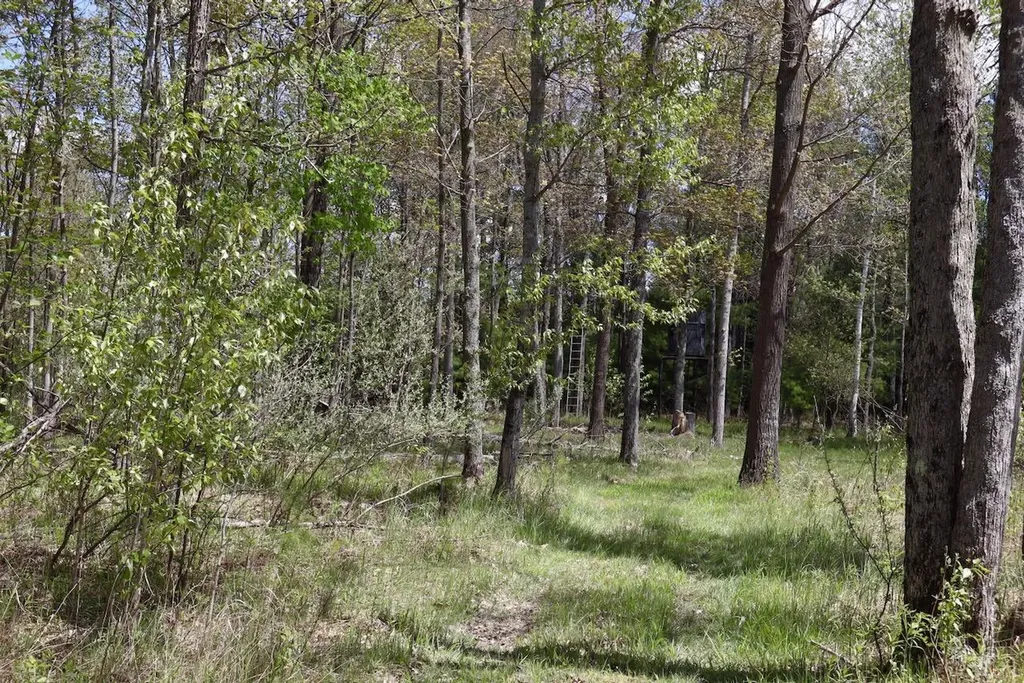 5826 S Morrison Road Mills Township MI 48610