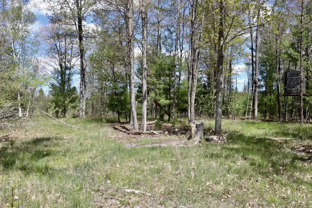 5826 S Morrison Road Mills Township MI 48610