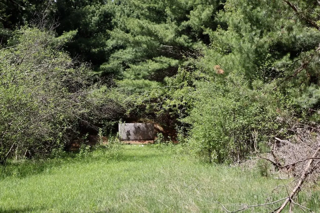 5826 S Morrison Road Mills Township MI 48610