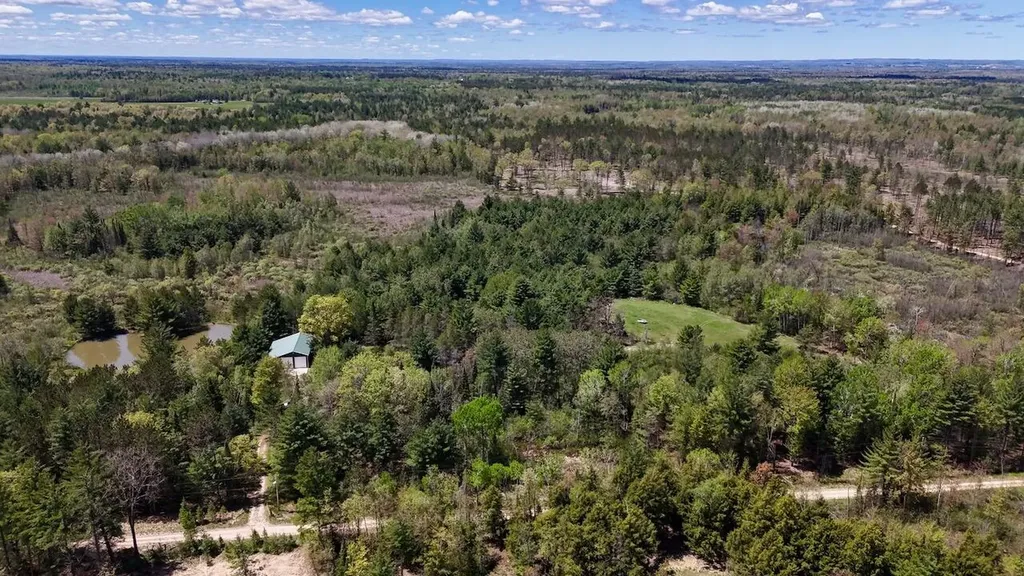 5826 S Morrison Road Mills Township MI 48610