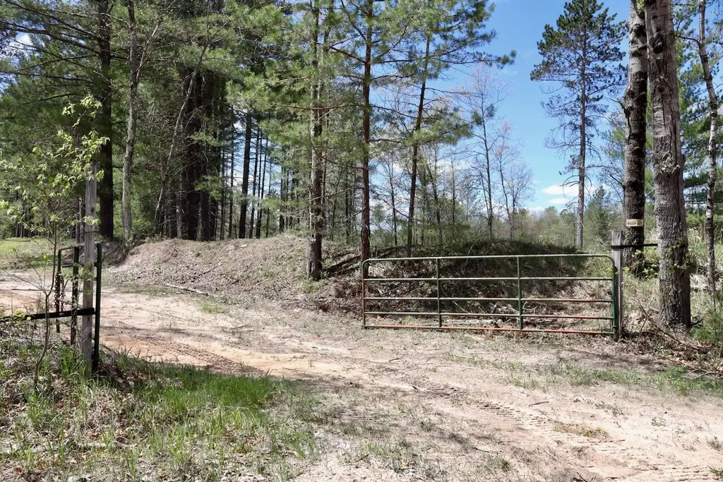 5826 S Morrison Road Mills Township MI 48610