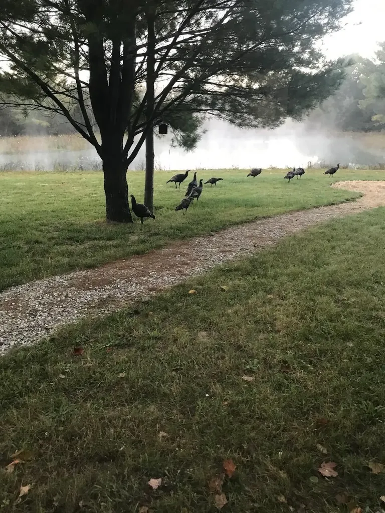 5826 S Morrison Road Mills Township MI 48610