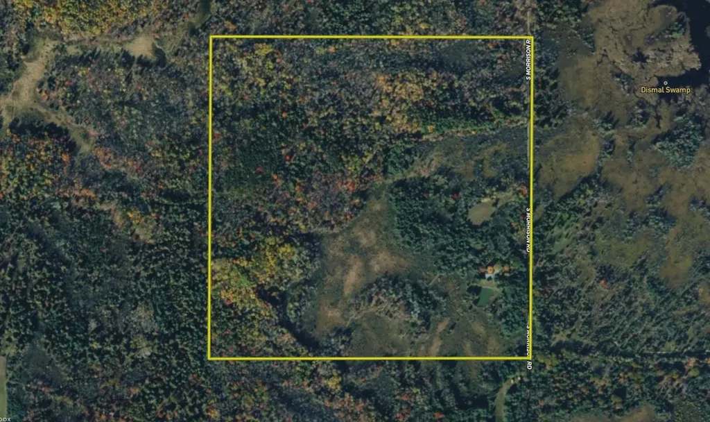 5826 S Morrison Road Mills Township MI 48610
