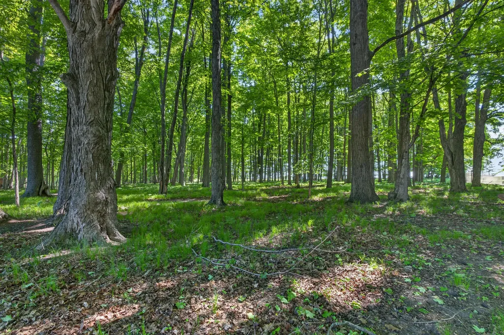 5595 75th Avenue Hinton Township MI 49332