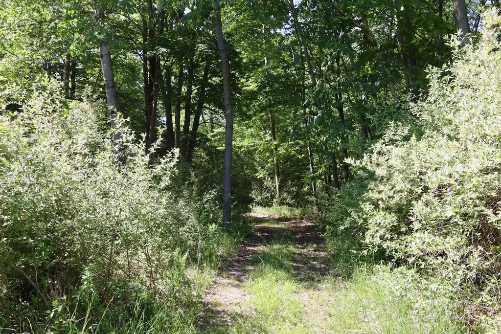 5595 75th Avenue Hinton Township MI 49332