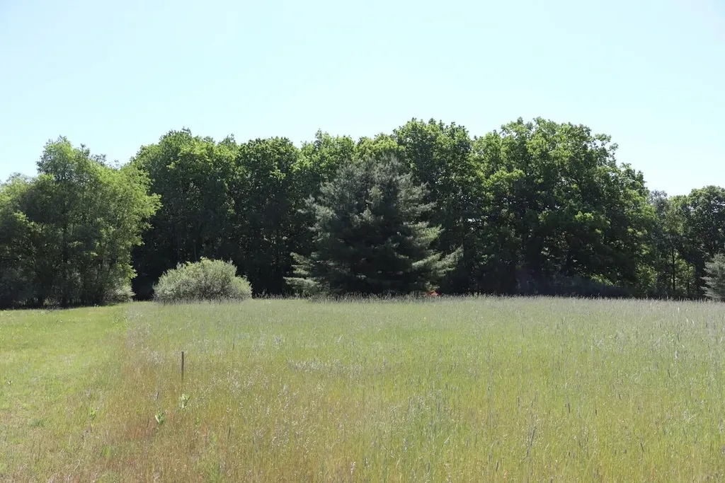 5595 75th Avenue Hinton Township MI 49332