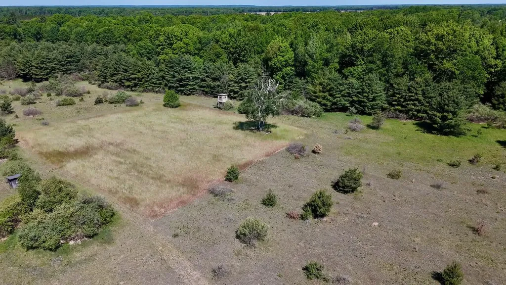 5595 75th Avenue Hinton Township MI 49332