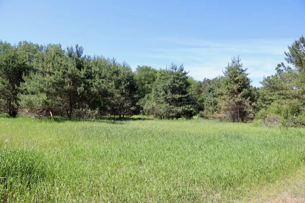 5595 75th Avenue Hinton Township MI 49332