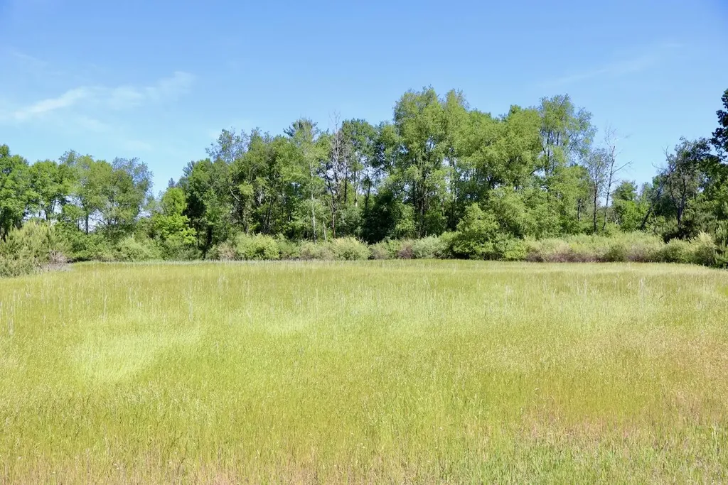 5595 75th Avenue Hinton Township MI 49332