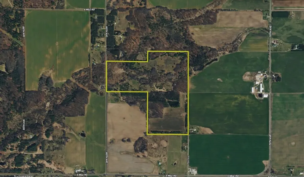 5595 75th Avenue Hinton Township MI 49332