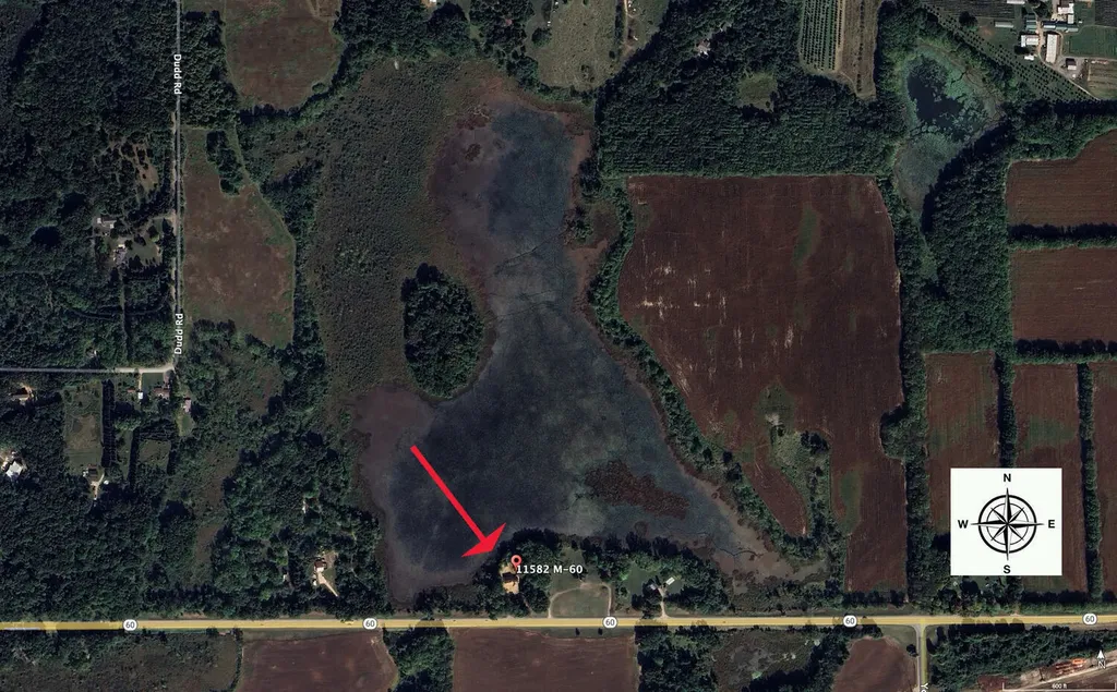 11582 M 60 Fabius Township MI 49093