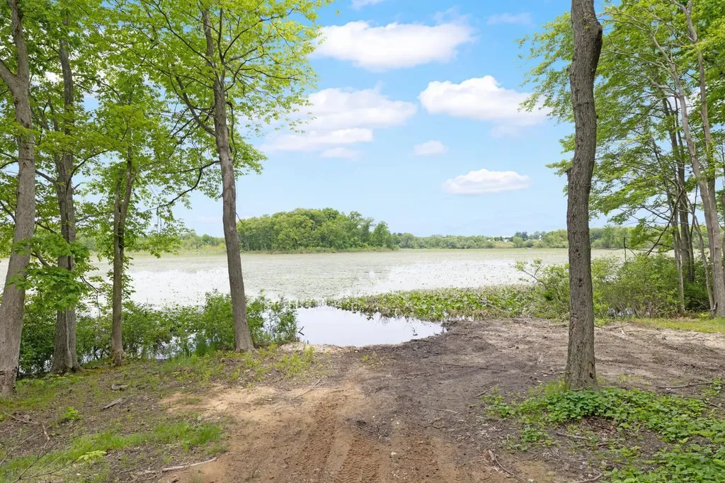 11582 M 60 Fabius Township MI 49093