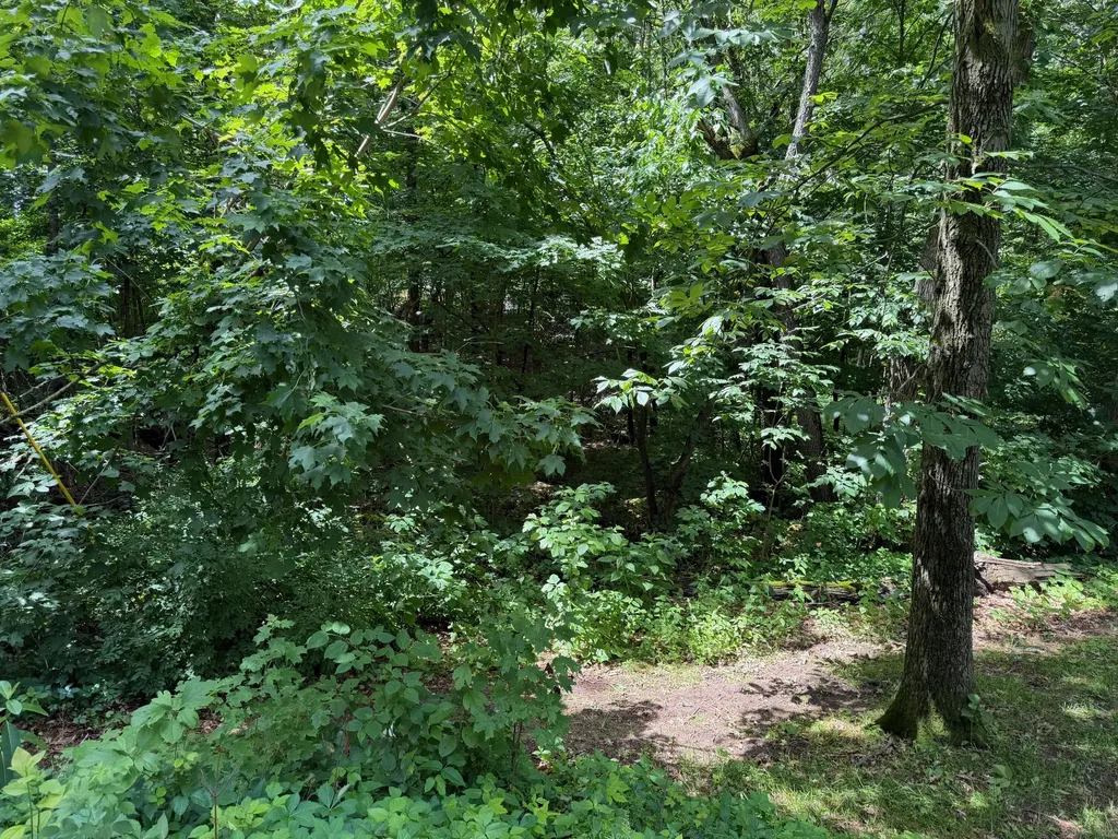 59710 M-51 S Pokagon Township MI 49047