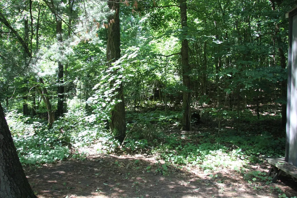 59710 M-51 S Pokagon Township MI 49047