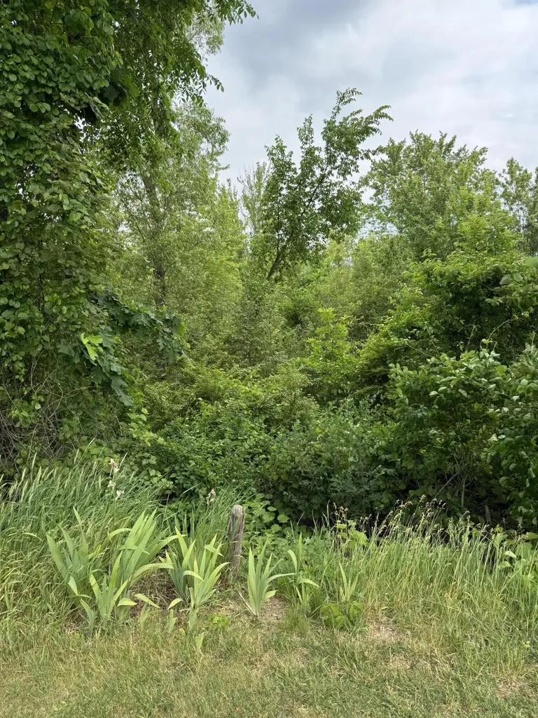 818 Raisin River Road Three Rivers City MI 49093